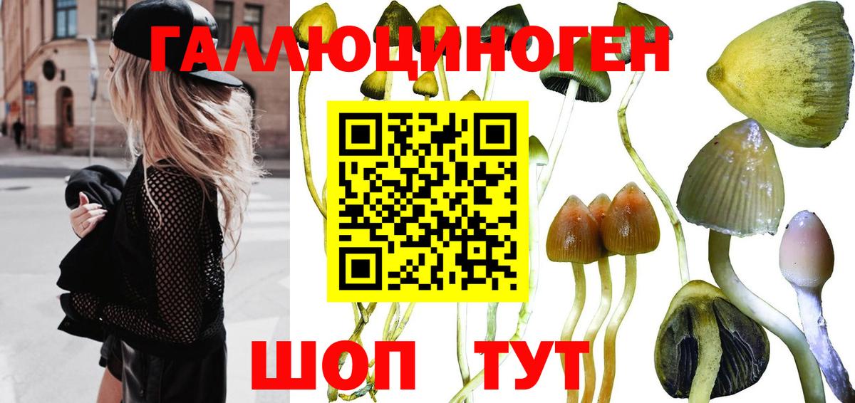Галлюциногенные грибы ЛСД  Вход с VPN  закладки  Арзамас 